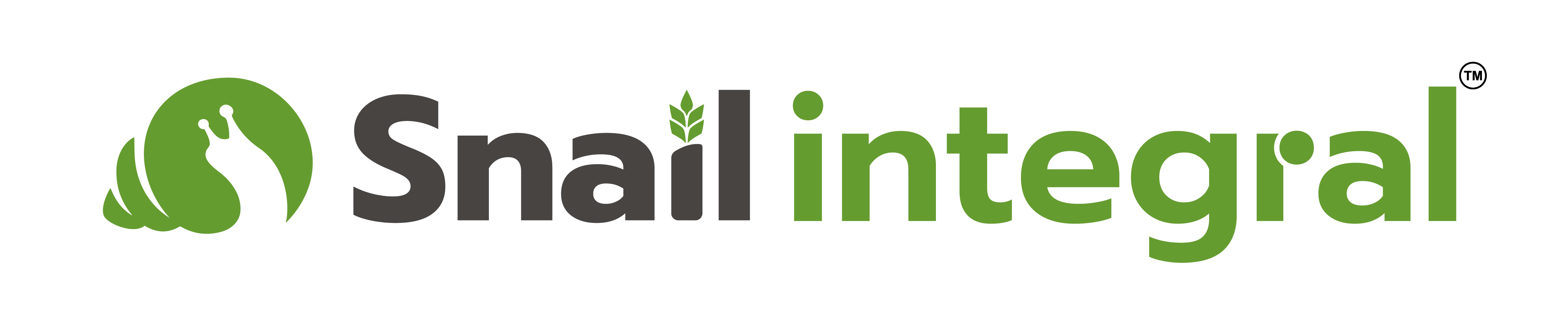 Snail Integral Logo - Option A